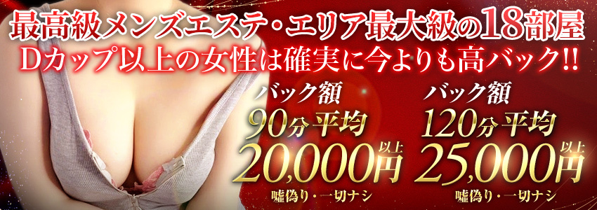 NEW+PLUS ～ニュープラス～のバナー