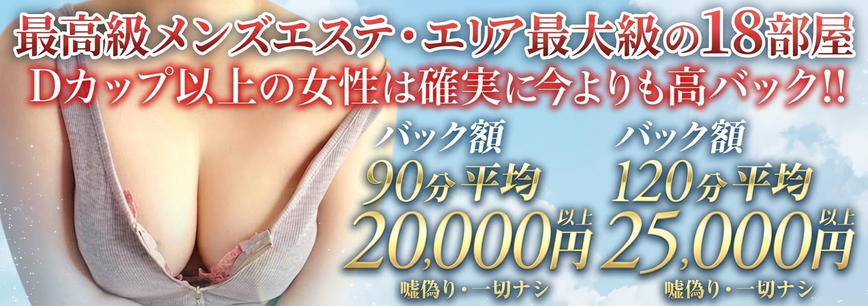 NEW+PLUS ～ニュープラス～のバナー